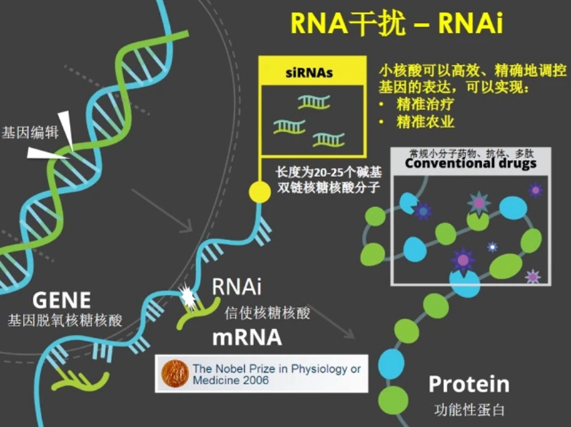 RNA生物農藥商業化及發展趨勢(圖1)