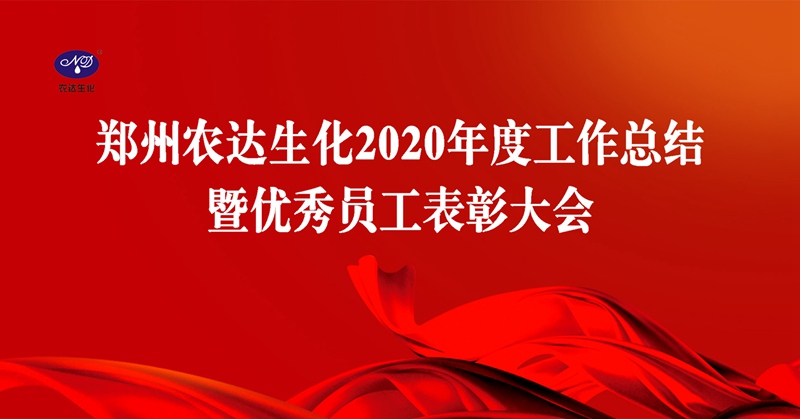 新征程，再出發丨我公司召開2020年度年終總結會議(圖1)